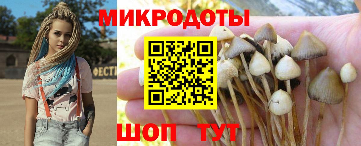 Вязники  как найти   Вход с VPN  Псилоцибиновые грибы прущие грибы 